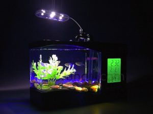 Computer-Powered Aquariums