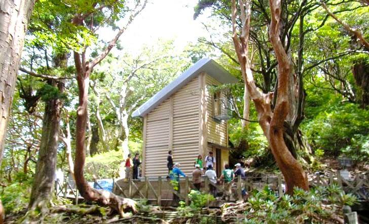 Nature-like hut residences