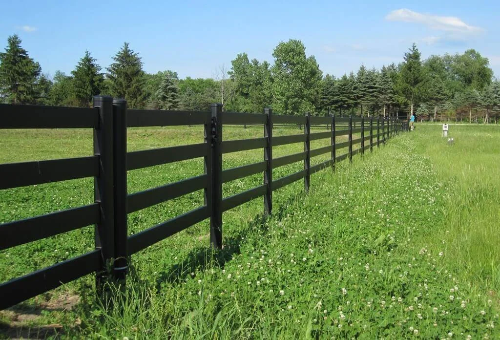 cheap fence ideas for privacy 