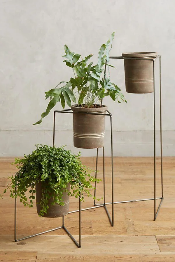 Planting in Ceramic Pottery Without a Drainage Hole